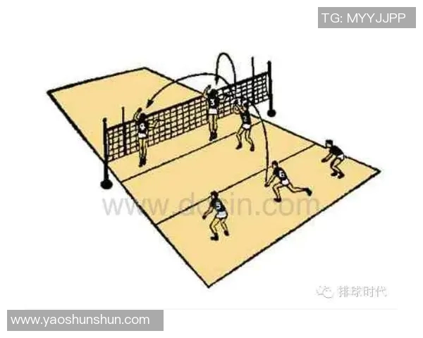 广州排球队配合战术深度解析与对比分析