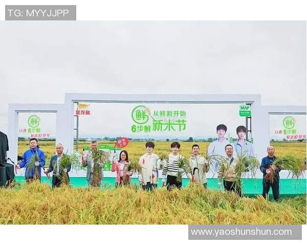 飞盘与梦想：陈敏的运动人生与心灵探索之旅