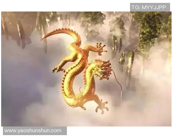 可兰白克的传奇人生与不屈精神探索之旅 可兰白克的传奇人生与不屈精神探索之旅