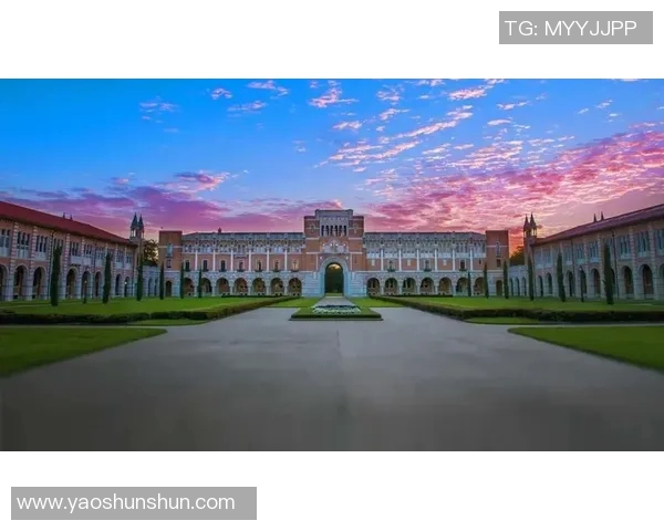 赖斯的崛起与挑战:探讨其在国际关系中的影响与未来发展方向 赖斯的崛起与挑战:探讨其在国际关系中的影响与未来发展方向