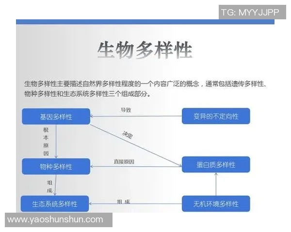 鸟栖沙岩与清水的对比分析探讨生态环境与生物多样性的关系