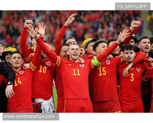 克罗地亚与威尔士2019年精彩对决回顾与分析