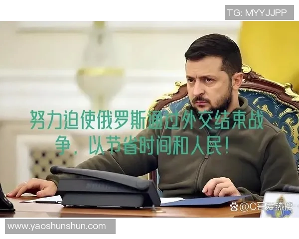 其他国家如何应对莫斯科的外交策略与地缘政治挑战