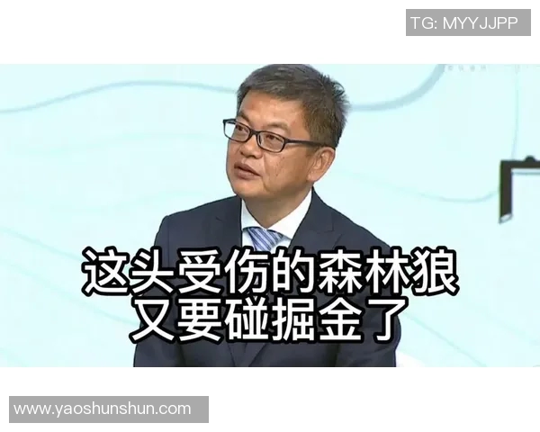 湖人对决掘金苏群分析比赛战术与球员表现的深度解读
