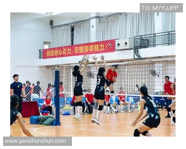 深圳排球队在全国排球灵活性排行榜中荣获第五名展现实力与潜力